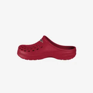 Atlanta Falcons Womens Solid Clog