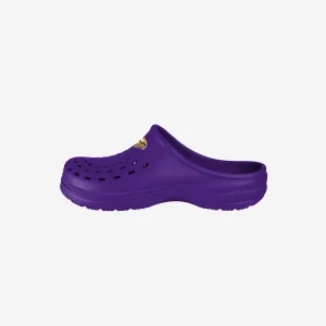 Minnesota Vikings Womens Solid Clog