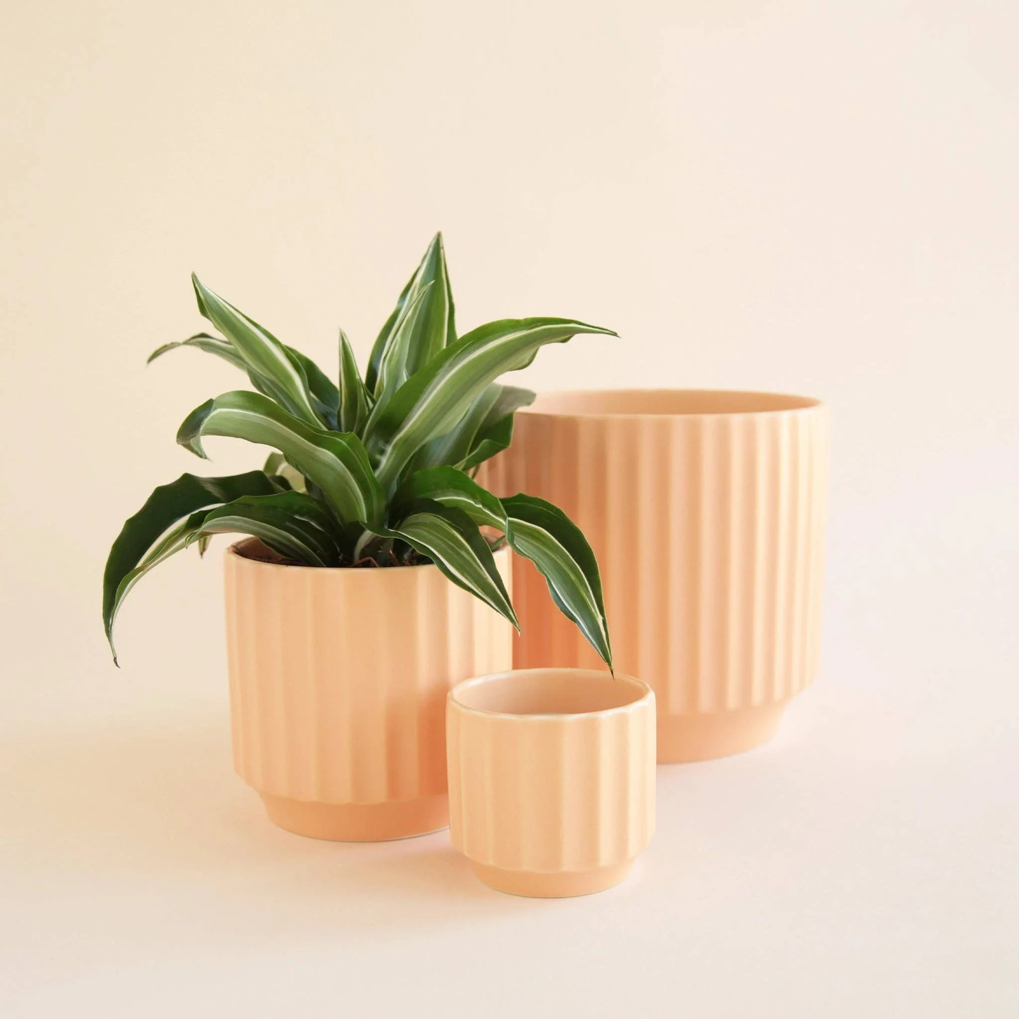 Monroe Pot - Sunset: 3 inch