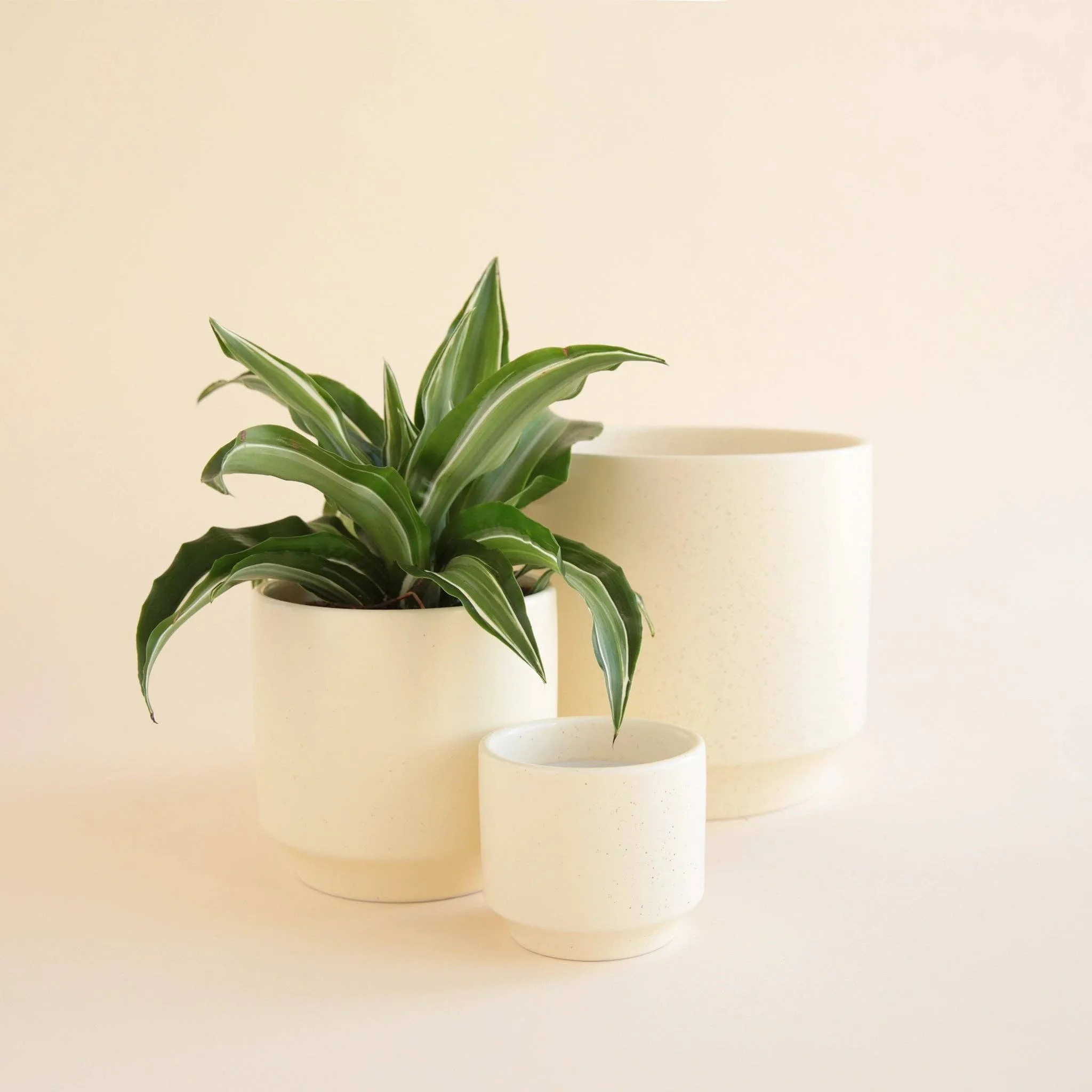 Parker Planter | Vintage White Speckle: 4.5 inch