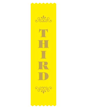 SR10 3rd Place Satin Ribbon