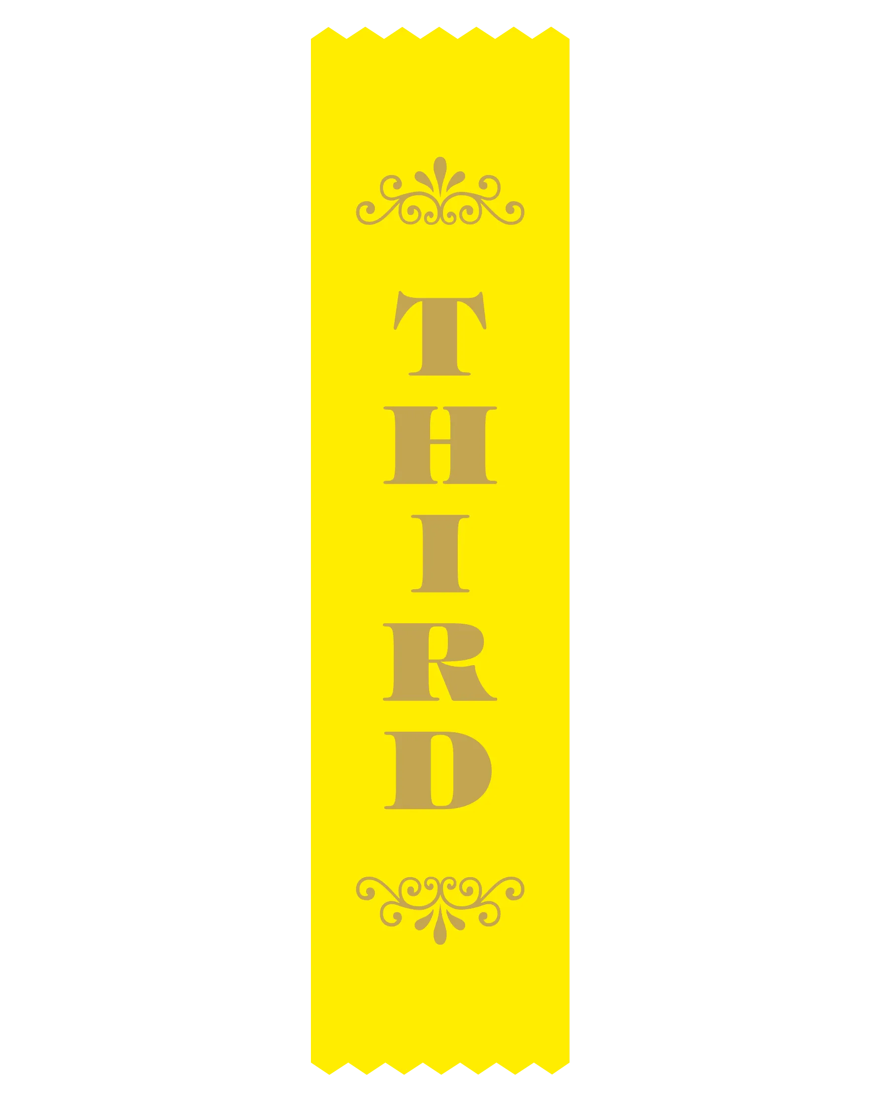 SR10 3rd Place Satin Ribbon
