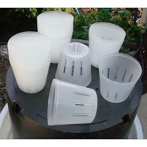 Translucent Orchid Pot with Side Slots, 10 pack