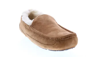Ugg Suede Ascot 5775 CHE Mens Brown Suede Slip On Clogs Slippers Shoes